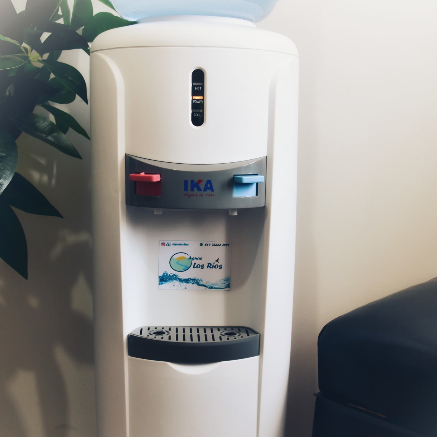 Dispensador con compresor - IKA pedestal redondo