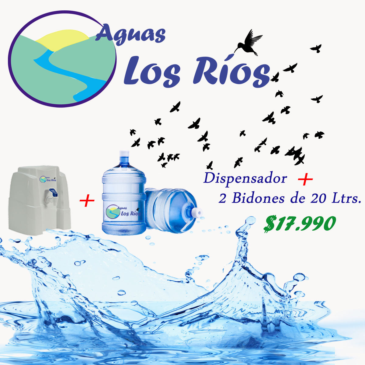 Dispensador de color + 2 bidones de 20 litros